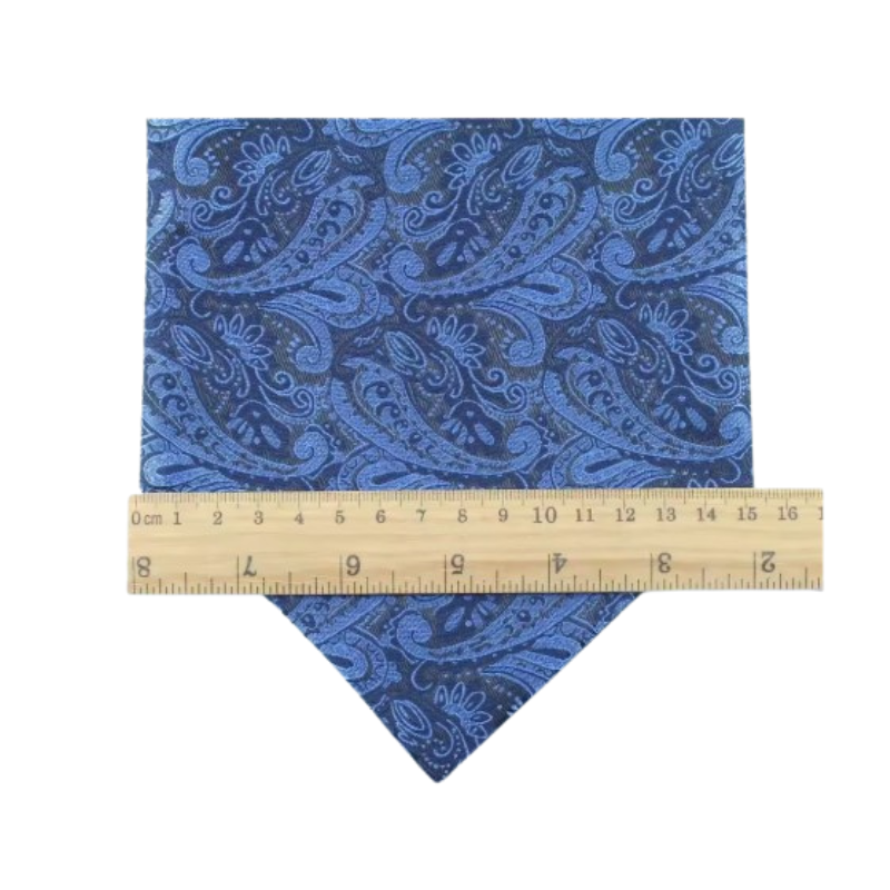Ascot élégant pour homme