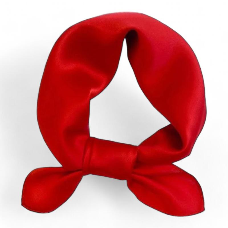 Petit format de foulard en soie pour femme